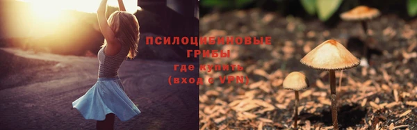 ГАЛЛЮЦИНОГЕННЫЕ ГРИБЫ Богородицк