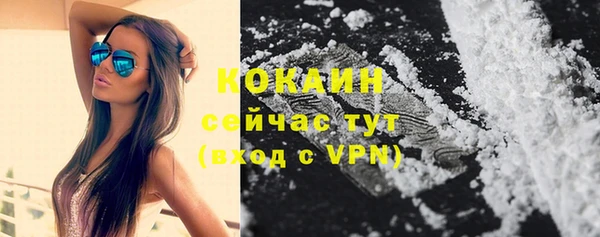 ГАЛЛЮЦИНОГЕННЫЕ ГРИБЫ Богородицк