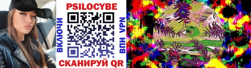 где купить наркотик  hydra вход  Галлюциногенные грибы MAGIC MUSHROOMS  Минеральные Воды 