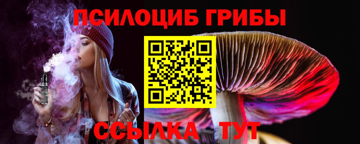 Галлюциногенные грибы мицелий  Вход с VPN  наркошоп  Минеральные Воды 