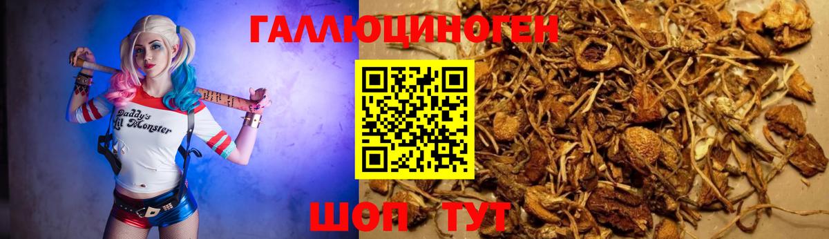 Галлюциногенные грибы GOLDEN TEACHER Минеральные Воды